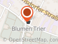 Blumen Trier