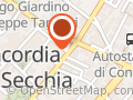 Pulga Andrea