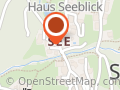 Manfred Schönegger; iiQ Check Österreich