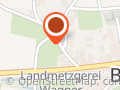 Riesenschnauzer von der Löwenzahnwiese