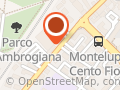 Pubblica Assistenza