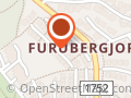 Serum Invest Roger Nyborg