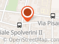 VERONA IMMIGRAZIONE