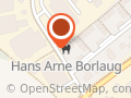 Hans Arne Borlaug
