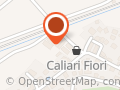 Calliarifiori
