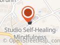 STUDIO SELF-HEALING