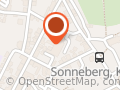 Teddy und Puppenfest Sonneberg