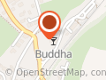 Buddha - Club
