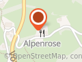 Alpenrose