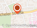 AM Treibholz