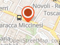 Dott.ssa Irina Boscagli- Psicologo Firenze