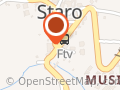 Gruppo Organizzativo Staro