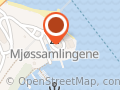 Mjøssamlingene på Minnesund