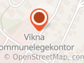 Vikna Pinsemenighet