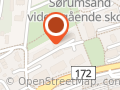 Bingen Lenseminneforening