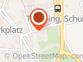 Traubinger Reiseservice