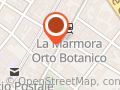 Lotti Prof. Torello