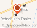 Baumschule r. Kaneppele & Co.