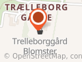 Trelleborggård Blomster