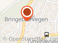 Verdal Sjakklags Ungdom (Vsu)