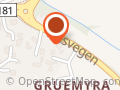 Tone Wilhelmsen Trøen