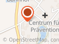 PROJECT MANAGEMENT PARTNERS Vohl & Partner - Unternehmensberater