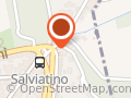 SALVIATINO SERVICE di S.Collini s.n.c.