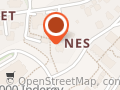 Næss Anton