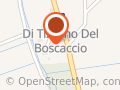 Chiaramonti Incisioni
