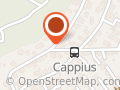 Cappius UG (haftungsbeschränkt) & Co. KG