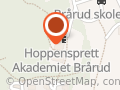 Hoppensprett Barneskole Brårud AS