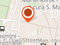 Schatzer Elisabeth