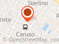 Dr.ssa Maria Grazia Casadio