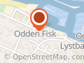 Odden Fisk