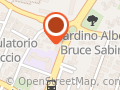 Il Brutto Anatroccolo di Salvatore Ceravolo