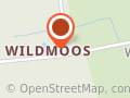 Zierreisig Adventsgrün Wildmoos Starnberg Zwick