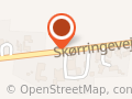Skørringe Rejser ApS