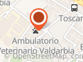 Ambulatorio Veterinario Valdarbia Di Tania Terrosi