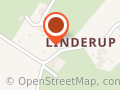 Anno - Ren v/Niels Ole Rasmussen