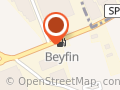 Beyfin