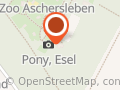 Sternfreunde Aschersleben