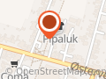 Pipaluk