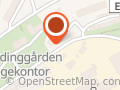 Synnøve Lien