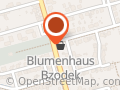 Blumenhaus Bzodek Inh.Sabrina Hiebsch