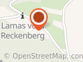 Reckenberg Lama Hof