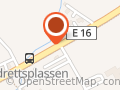 Opaker Dag