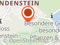 Wisentgehege