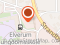 Elverum Kunstforening