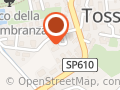 Trattoria Lungo Fiume