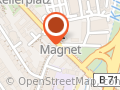 Magnet